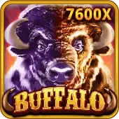 Buffalo thumbnail
